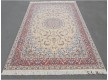 Iranian carpet SHAH ABBASI COLLECTION (X-042/1414 BEIGE) - high quality at the best price in Ukraine