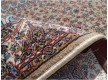 Іранський килим Silky Collection (D-011/1010 beige) - Висока якість за найкращою ціною в Україні - зображення 2.