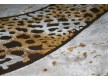 Акриловий килим Asos 0659A - Висока якість за найкращою ціною в Україні - зображення 5.