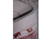Акриловый ковер Erciyes 0084 ivory-pink - высокое качество по лучшей цене в Украине - изображение 7.