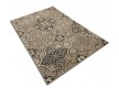 Synthetic carpet  Mira 24035/123 - high quality at the best price in Ukraine