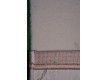 Акриловий килим Paris 0153 cream-brown - Висока якість за найкращою ціною в Україні - зображення 2.