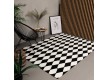 Синтетический ковер ALMINA 126702 black/white - высокое качество по лучшей цене в Украине