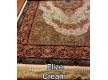 Іранський килим Diba Carpet Elize Cream - Висока якість за найкращою ціною в Україні - зображення 2.