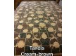 Іранський килим Diba Carpet Tandis cream-brown - Висока якість за найкращою ціною в Україні