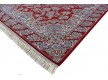 Високощільний килим Shahriyar 013 RED - Висока якість за найкращою ціною в Україні - зображення 3.