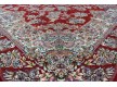 Високощільний килим Shahriyar 013 RED - Висока якість за найкращою ціною в Україні - зображення 5.