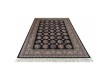 High-density carpet Sheikh 4249 BLACK - high quality at the best price in Ukraine