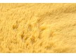 Carpet BUNNY yellow - high quality at the best price in Ukraine - image 5.