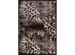 Shaggy carpet Defier 6 168 , DARK BROWN - high quality at the best price in Ukraine