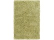 Shaggy carpet  Diva Green - high quality at the best price in Ukraine