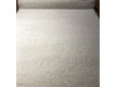 shaggy carpet Fitness Lux 1 174 , WHITE - high quality at the best price in Ukraine