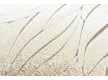 Високоворсний килим Luna 2460a p.brown-p.white - Висока якість за найкращою ціною в Україні - зображення 5.