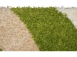 Shaggy carpet Shaggy 9109A Green-Optik Beyaz - high quality at the best price in Ukraine - image 2.