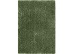 Shaggy carpet Skin green - high quality at the best price in Ukraine