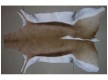 Skin of gazelle GAZELA NATURAL GZ01 ANTIDORCAS MARSUPIALIS - high quality at the best price in Ukraine