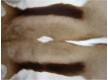 Skin of gazelle GAZELA NATURAL GZ01 ANTIDORCAS MARSUPIALIS - high quality at the best price in Ukraine - image 2.