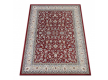 Synthetic carpet Amina 27002/210 - high quality at the best price in Ukraine