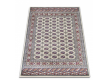 Synthetic carpet Amina 27005/110 - high quality at the best price in Ukraine