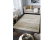 Synthetic carpet Fortune 0532-WS - high quality at the best price in Ukraine