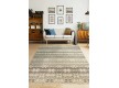 Synthetic carpet Atlas 8886-43754 - high quality at the best price in Ukraine