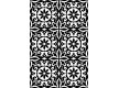 Іранський килим Black&White 1720 - Висока якість за найкращою ціною в Україні
