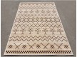 Synthetic carpet Daffi 13035/110 - high quality at the best price in Ukraine