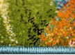 Child's carpet Kolibri 11018/140 - high quality at the best price in Ukraine - image 3.