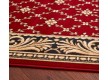 Синтетичний килим Optimal Felis Bordo - Висока якість за найкращою ціною в Україні - зображення 3.