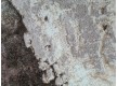 Високоворсний килим Sedef 0004B beige-grey - Висока якість за найкращою ціною в Україні - зображення 6.