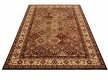 Synthetic carpet Standard Bergenia Terakota - high quality at the best price in Ukraine