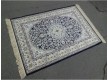 Carpet Astoria 7005-03a dark blue - high quality at the best price in Ukraine