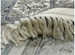 Viscose carpet Beluchi 8 (HEREKE) (88786/2969) - high quality at the best price in Ukraine - image 4.