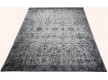 Carpet Erin 2901-GS - high quality at the best price in Ukraine