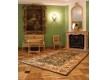 Шерстяний килим Agnus Hetman Oliwka (olive) - Висока якість за найкращою ціною в Україні - зображення 2.