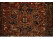 Шерстяний килим Astoria  2886-53488 - Висока якість за найкращою ціною в Україні - зображення 4.
