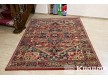 Wool carpet Astoria 2886-53488 - high quality at the best price in Ukraine - image 2.