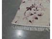 Шерстяний килим  Aspero 4102A - Висока якість за найкращою ціною в Україні - зображення 4.