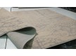 Шерстяний килим Bella 7269-50955 - Висока якість за найкращою ціною в Україні - зображення 6.