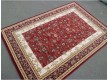 Шерстяний килим Elegance 2736-50666 - Висока якість за найкращою ціною в Україні - зображення 4.