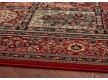 Шерстяний килим Kashqai 4325 300 - Висока якість за найкращою ціною в Україні - зображення 4.