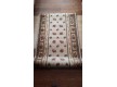 Wool carpet Millenium Premiera 270-802 - high quality at the best price in Ukraine