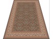 Wool carpet Nain 1288-702 brown - high quality at the best price in Ukraine