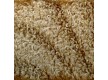 Carpet for home Avrora 235 - high quality at the best price in Ukraine