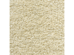 Carpet for home CAROUSEL 70 - high quality at the best price in Ukraine