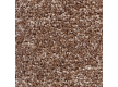 Carpet for home CAROUSEL 95 - high quality at the best price in Ukraine