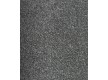 Household carpet AW Duster 98 - high quality at the best price in Ukraine