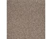 Household carpet AW Terra Plain 49 - high quality at the best price in Ukraine