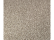 Commercial fitted carpet AW Terra Heathers 34 - high quality at the best price in Ukraine