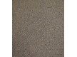Commercial fitted carpet Apollo 047 - high quality at the best price in Ukraine